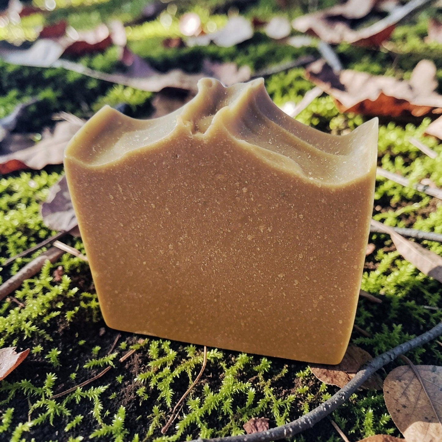 Chaga Soap - Northern Forest