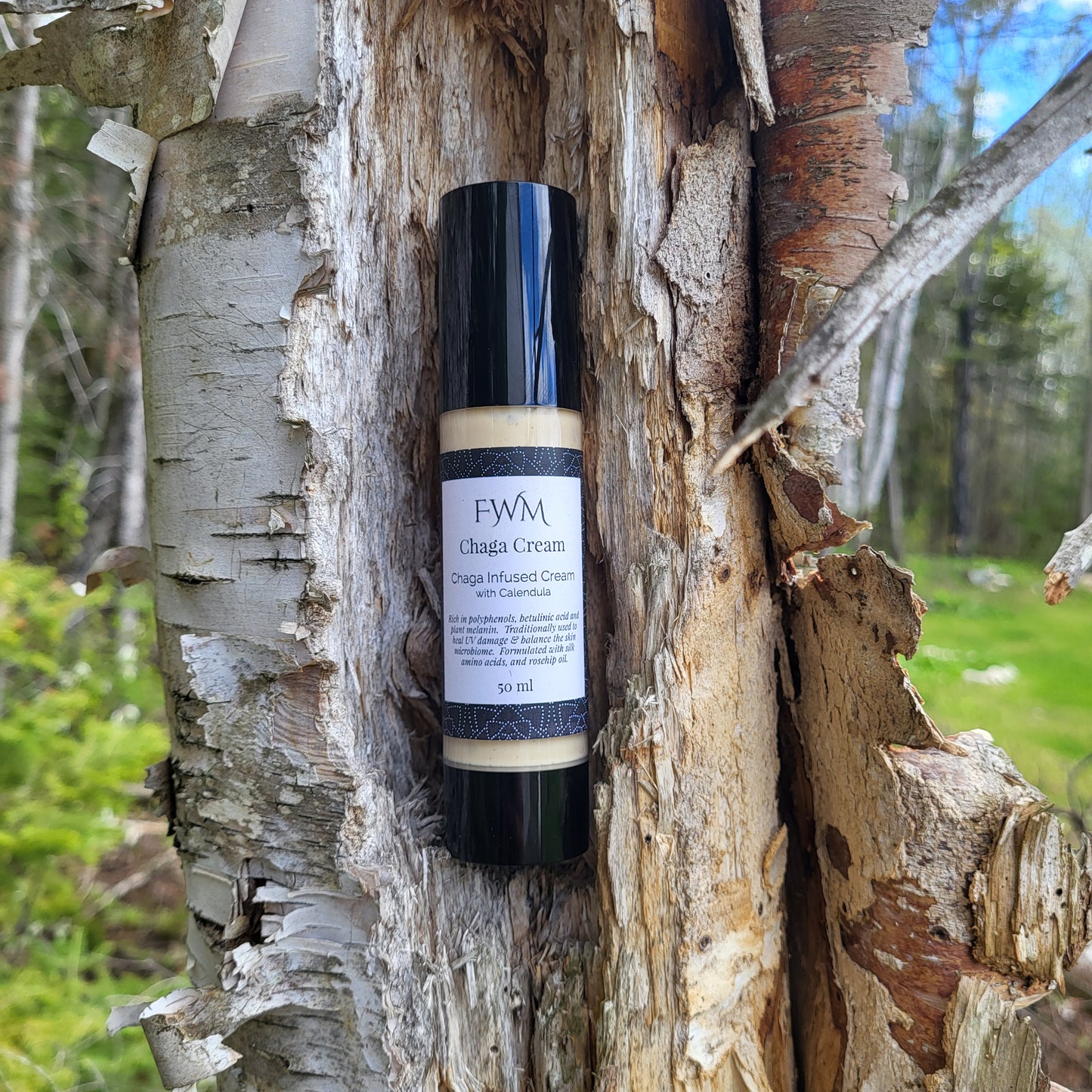 Chaga Cream